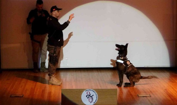 Vali Yılmaz: "Bu Hepimizin Mücadelesi"