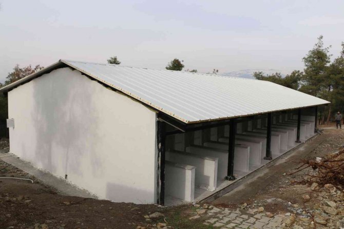 Kahramanmaraş’ta Sokak Hayvanları İçin 2 Milyon Liralık Yatırım