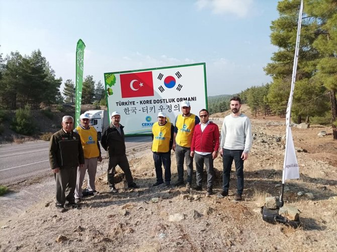 Kilis’te Türkiye-kore Dostluk Ormanı’nda 20 Bin Fidan Toprakla Buluştu