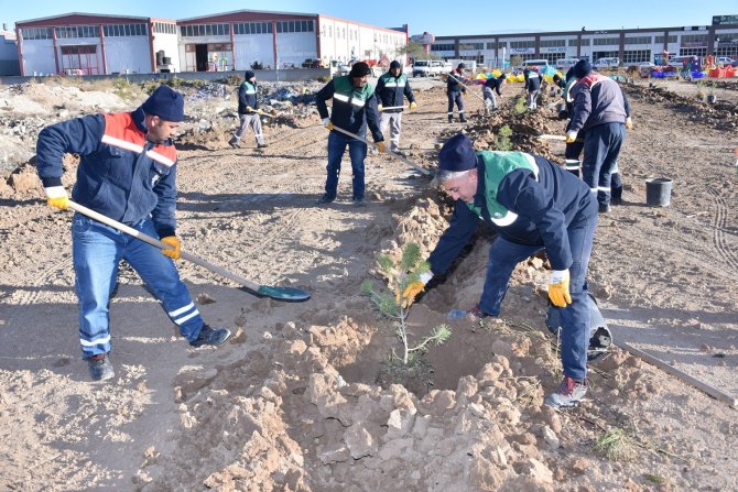 Karatay Belediyesinden İlçeye 2021’de 213 Bin 162 Fidan Ve Bitki