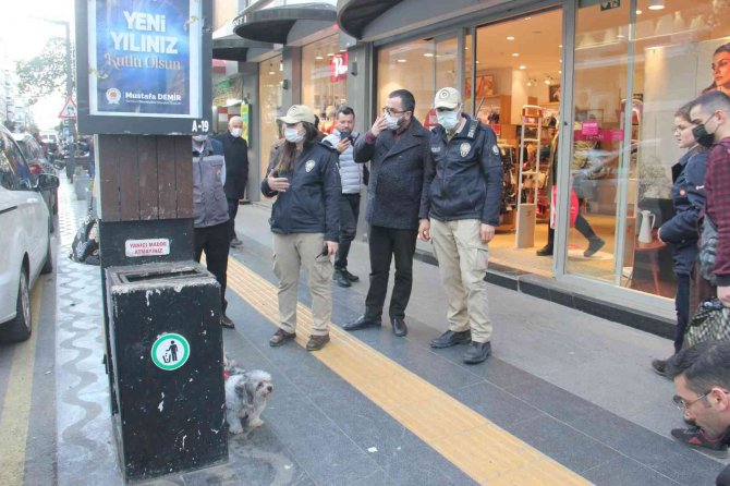 Samsun’da Polisten Yasaklı Irk Köpek Denetimi