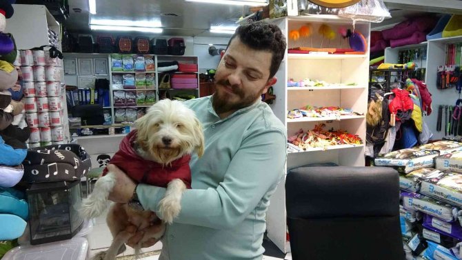 Kayıt Dışı Hayvan Üretiminde Şifreli Satış: ’Gelin Arıyoruz’, ’Damat Arıyoruz’