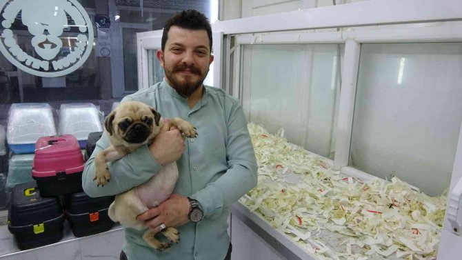 Kayıt Dışı Hayvan Üretiminde Şifreli Satış: ’Gelin Arıyoruz’, ’Damat Arıyoruz’