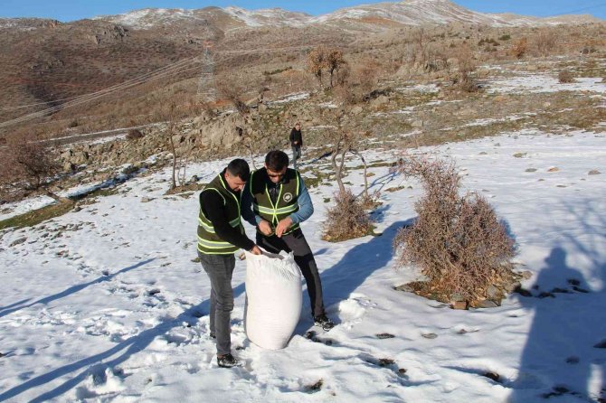 Yaban Hayvanları İçin Doğaya Yem Servisi Yapıldı