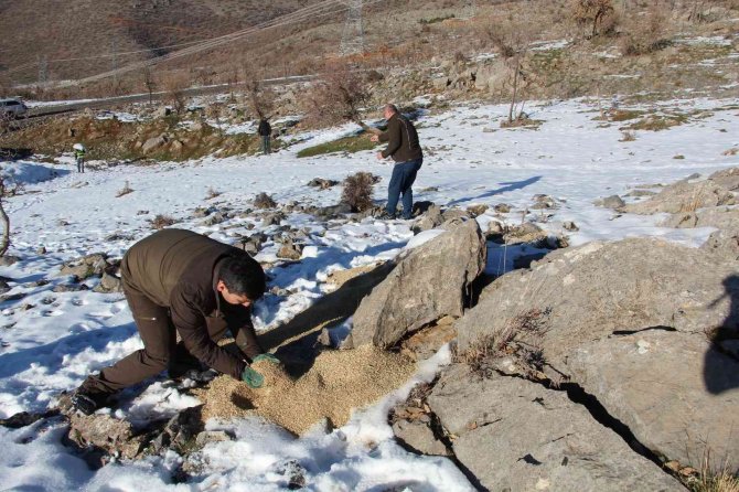 Yaban Hayvanları İçin Doğaya Yem Servisi Yapıldı