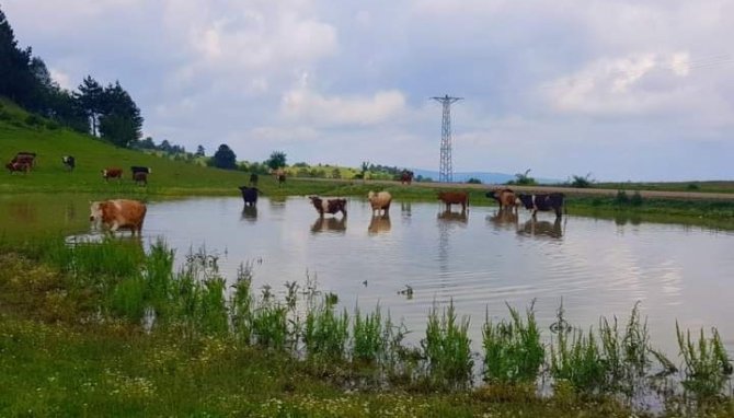 Çıldır Değil Sinop: Buz Tutan Gölde Bisiklet Sürüp Semaver Yaptılar