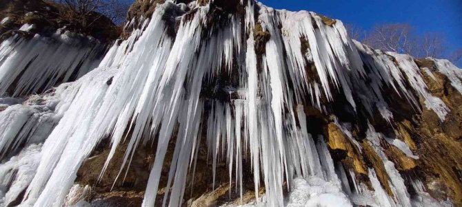 Tunceli’de Havalar Soğudu, ’Ağlayan Kayalar’ Buz Tuttu