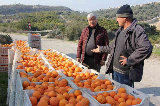 Dalında 1,5 Liraya Sattı; Zincir Markette Fiyatı 5,90 Liraya Fırladı