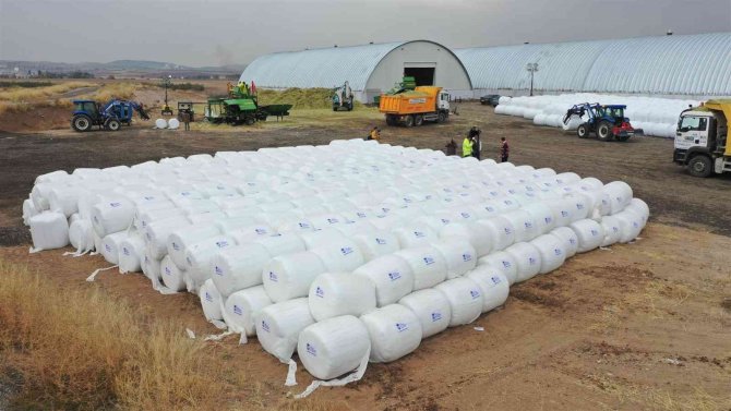 Abb’den Hayvan Yetiştiricisi Kadınlara Destek