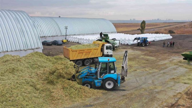 Abb’den Hayvan Yetiştiricisi Kadınlara Destek