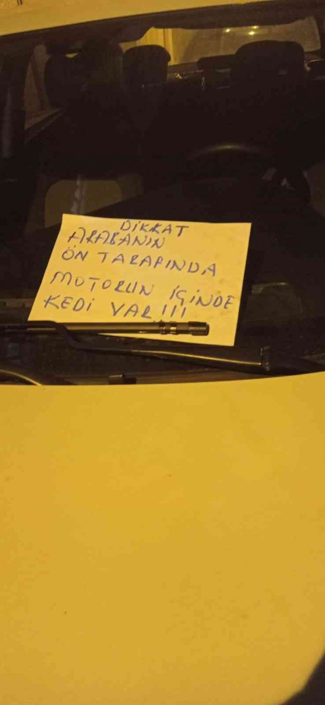 Aracın Motoruna Sıkışan Kedi İtfaiye Ekipleri Tarafından Kurtarıldı