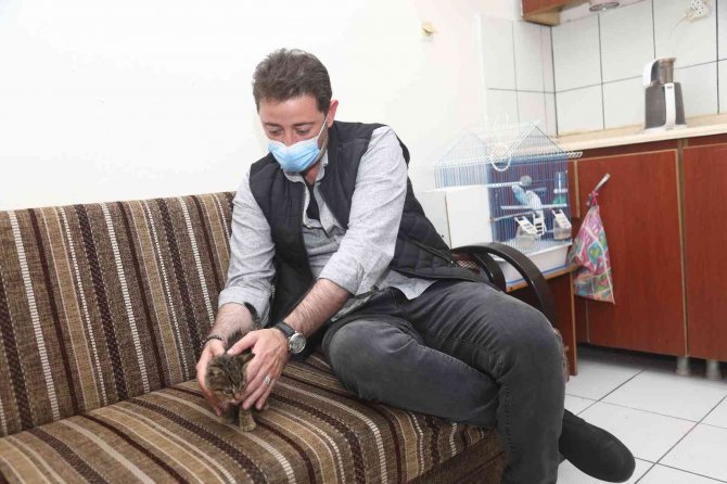 Bandırma Belediye Başkanı Tolga Tosun, " Bir Köpeğin Yaptığı, Tüm Sokak Dostlarımıza Fatura Edilemez"