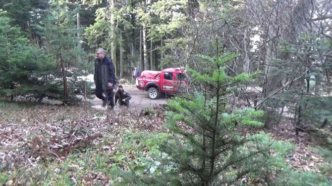 Yılbaşı Öncesi Orman Memurları Çam Nöbetinde
