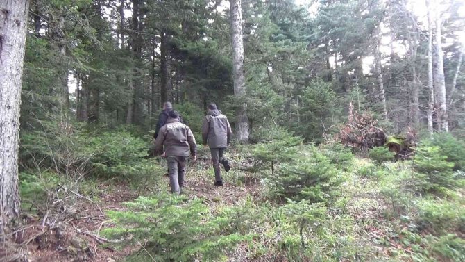 Yılbaşı Öncesi Orman Memurları Çam Nöbetinde