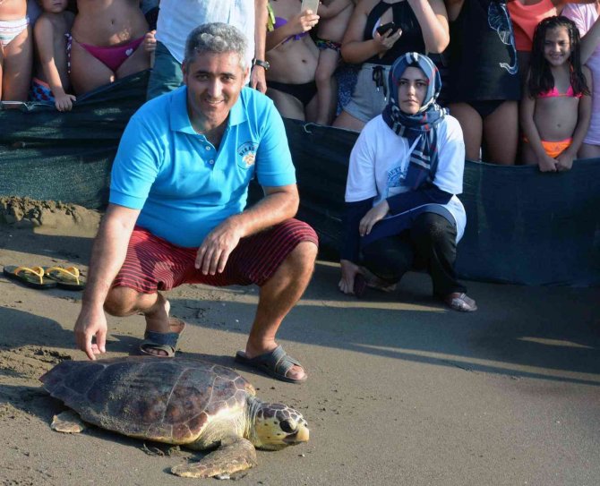 Caretta Carettaların Neslinin Devamı İçin Seferber Oldular