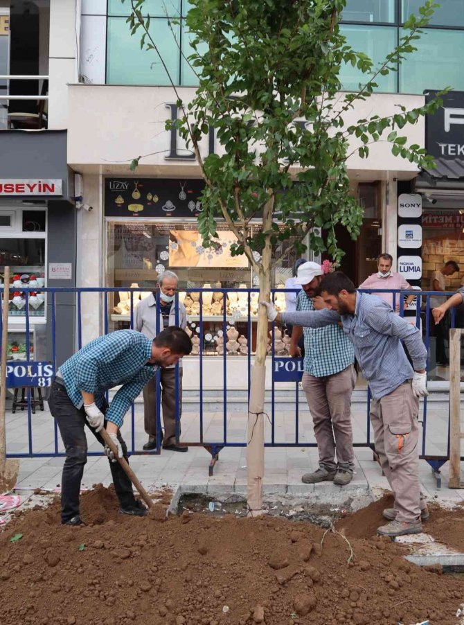 Bin 920 Ağaç, 443 Bin Çiçek Toprakla Buluştu