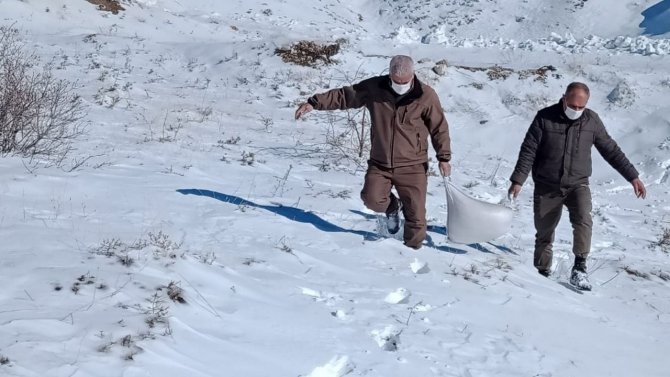 Elazığ’da Yaban Hayvanları İçin Doğaya Yem Bırakıldı