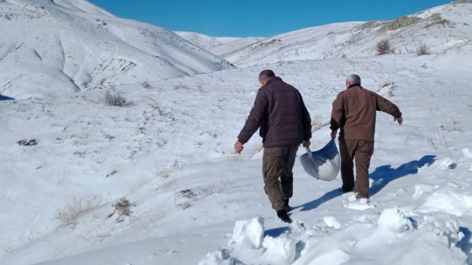 Elazığ’da Yaban Hayvanları İçin Doğaya Yem Bırakıldı