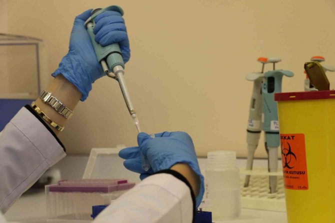 Erzincan’da Yeni Evleneceklere Ücretsiz Sma Testi Yapılmaya Başlandı