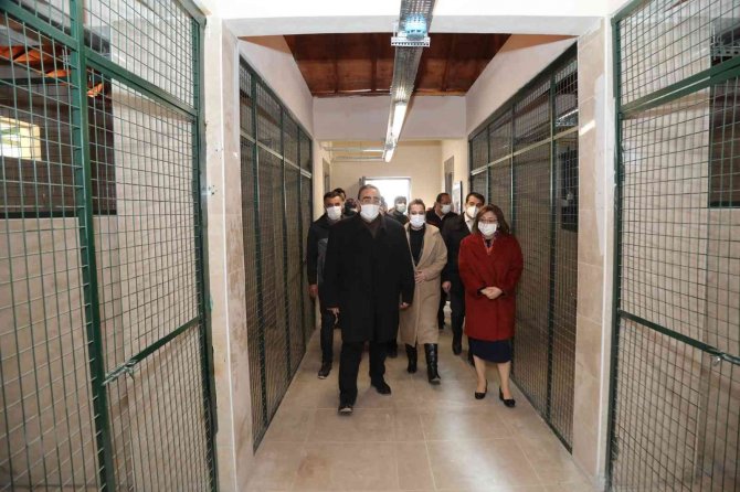 Türkiye’nin En Büyük Hayvan Barınağının Yapımı Tamamlandı