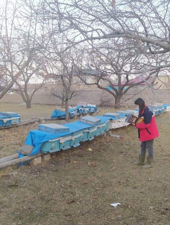 Iğdır’da Arılı Kovan Desteklemeleri