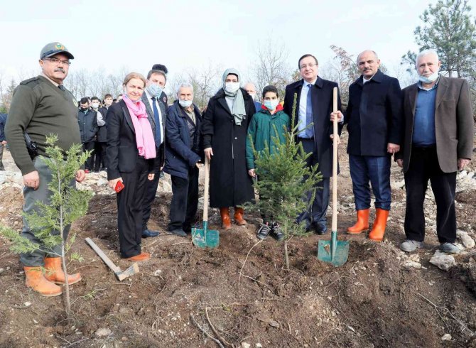 Fidanlar Alaaddin Öğretmen İçin Dikildi
