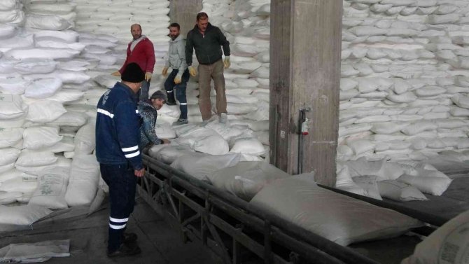 Muş’ta 38 Bin 290 Ton Şeker Üretimi Yapıldı