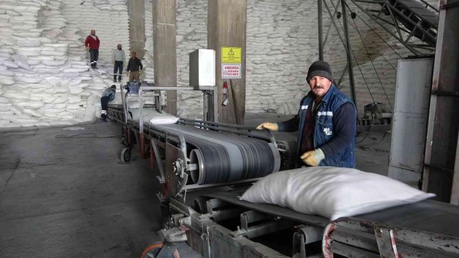 Muş’ta 38 Bin 290 Ton Şeker Üretimi Yapıldı