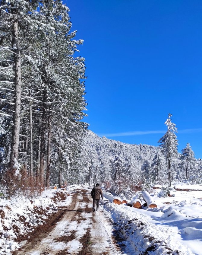 Orman Müdürlüğü Yoğun Kar Altında Nakliyatlara Devam Ediyor