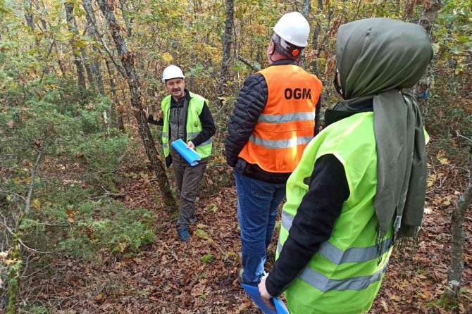 Ormanlarda Uygulamalı Eğitim