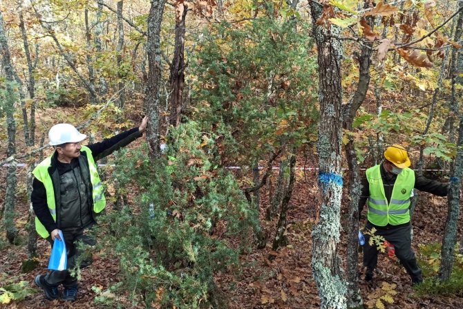 Ormanlarda Uygulamalı Eğitim