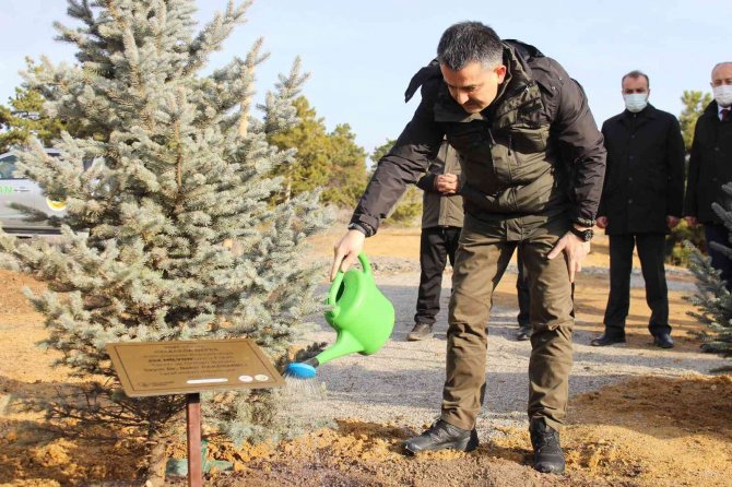 Bakan Pakdemirli, 252 Milyonuncu Fidanı Toprakla Buluşturarak Can Suyu Verdi.