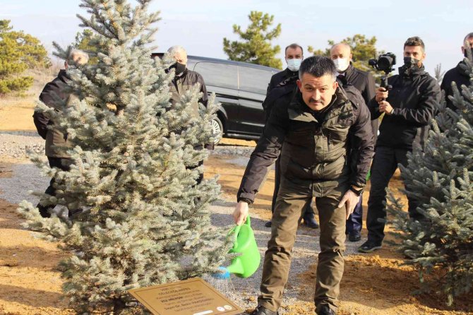 Bakan Pakdemirli, 252 Milyonuncu Fidanı Toprakla Buluşturarak Can Suyu Verdi.