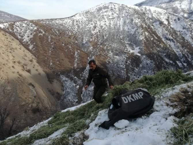 Tunceli’de Yaban Hayvanları İçin Doğaya Yem Bırakıldı