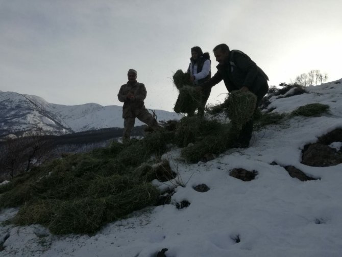 Tunceli’de Yaban Hayvanları İçin Doğaya Yem Bırakıldı