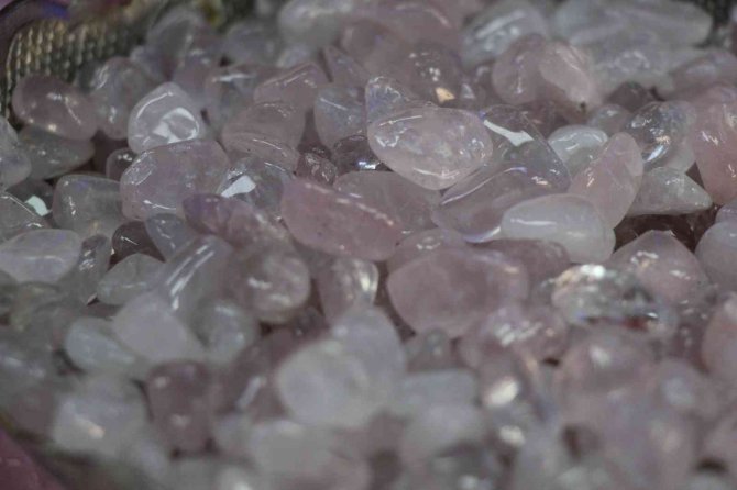 Taşı Sıktı Kolonyasını Çıkardı