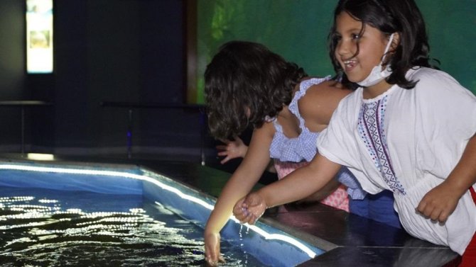 Keçiören’de Öğrenciler Su Altı Canlılarını Deniz Dünyası’nda Öğreniyor