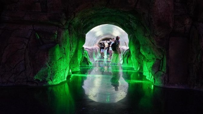 Keçiören’de Öğrenciler Su Altı Canlılarını Deniz Dünyası’nda Öğreniyor