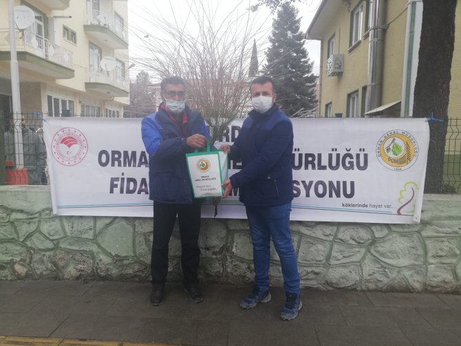 Çam Ağacı Kesimini Önlemek İçin Bin Adet Fidan Dağıtıldı