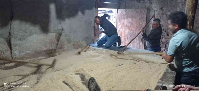 Çukurca’da Organik Tahin Üretimi