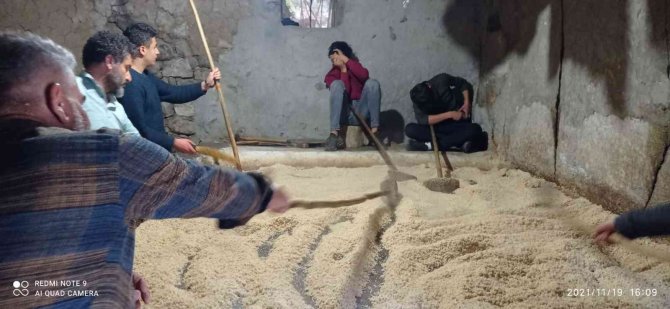 Çukurca’da Organik Tahin Üretimi