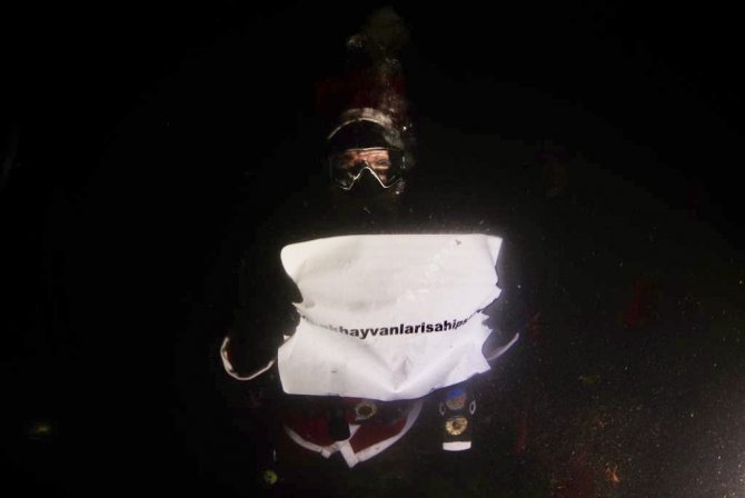 Kadıköy’de Noel Baba Sokak Hayvanları İçin Denize Daldı