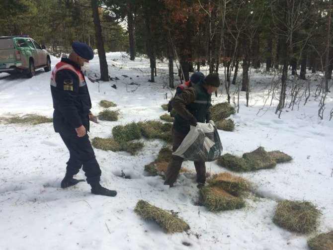 Kütahya’da Yaban Hayvanlarına Yem Bırakıldı