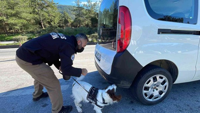 Bodrum’da Oteller Doldu, Trafik Kilitlendi, Denetimler İki Katına Çıktı