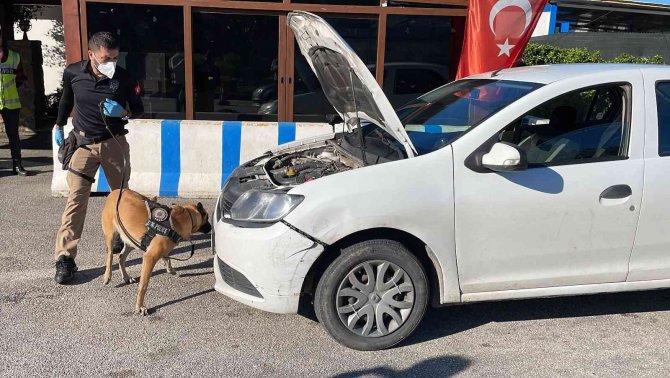 Bodrum’da Oteller Doldu, Trafik Kilitlendi, Denetimler İki Katına Çıktı