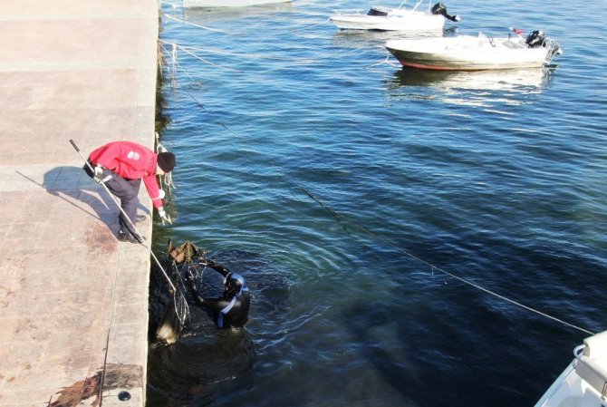 Denizden Çıkanlar Şaşırttı