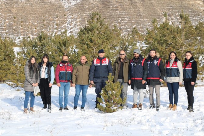 Jandarma Ekipleri Yabani Hayvanları Unutmadı