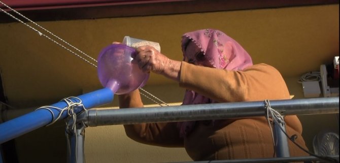 Artvinli 88 Yaşındaki Emine Nine Tavuklarını Kümese Gitmeden Yemliyor