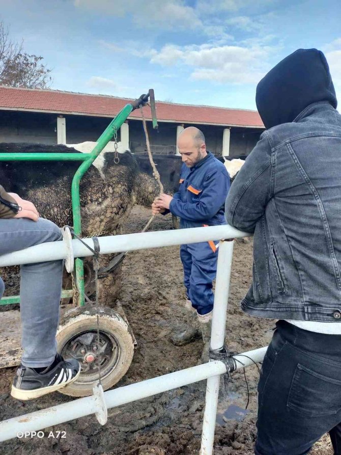 Liseli Öğrenciler Hayvancılığı Yerinde Öğrendi