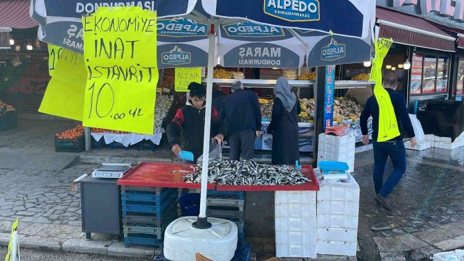 Denizlerden İstavrit Fışkırıyor